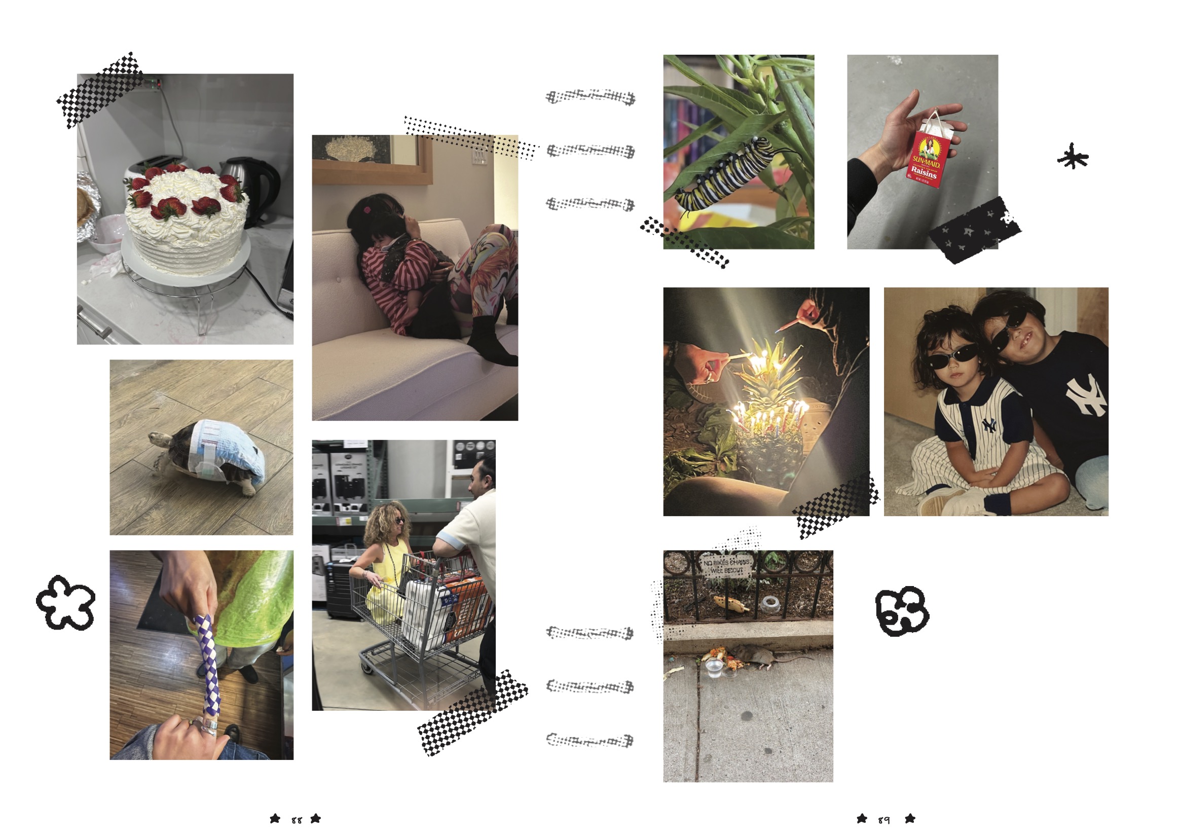 Slide 5